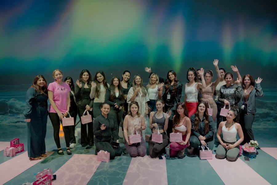 The ARIA group waving under the aurora
